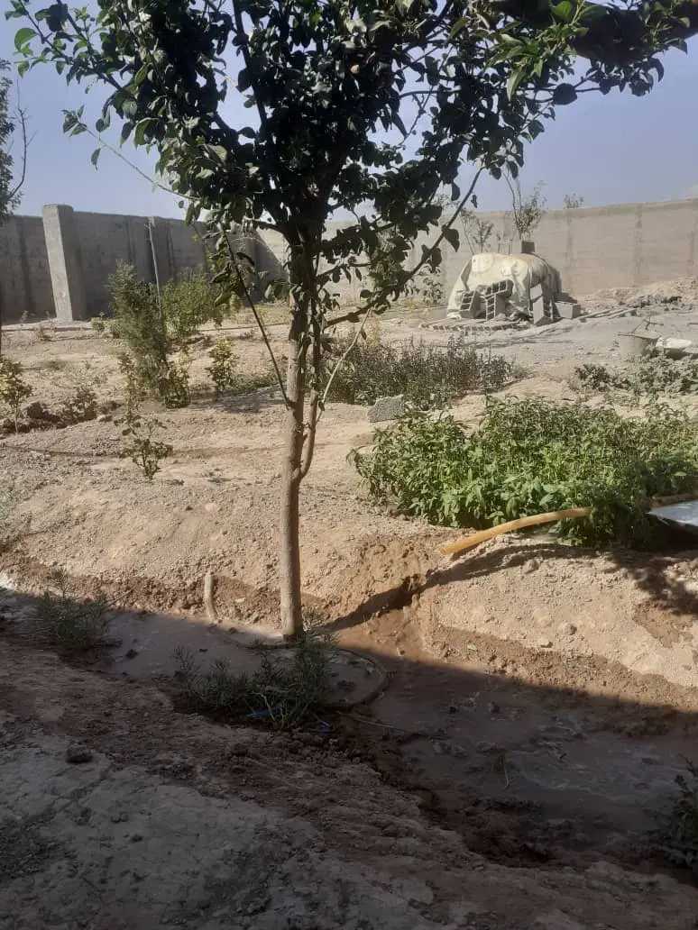 باغچه ۷۰۰ متری صفادشت
