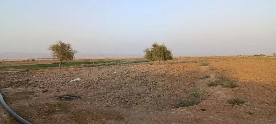کشاورزی صنعتی