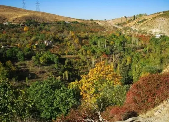 زمین در قطعات ۳۰۰ متربه بالالواسون بزرگ ایرا