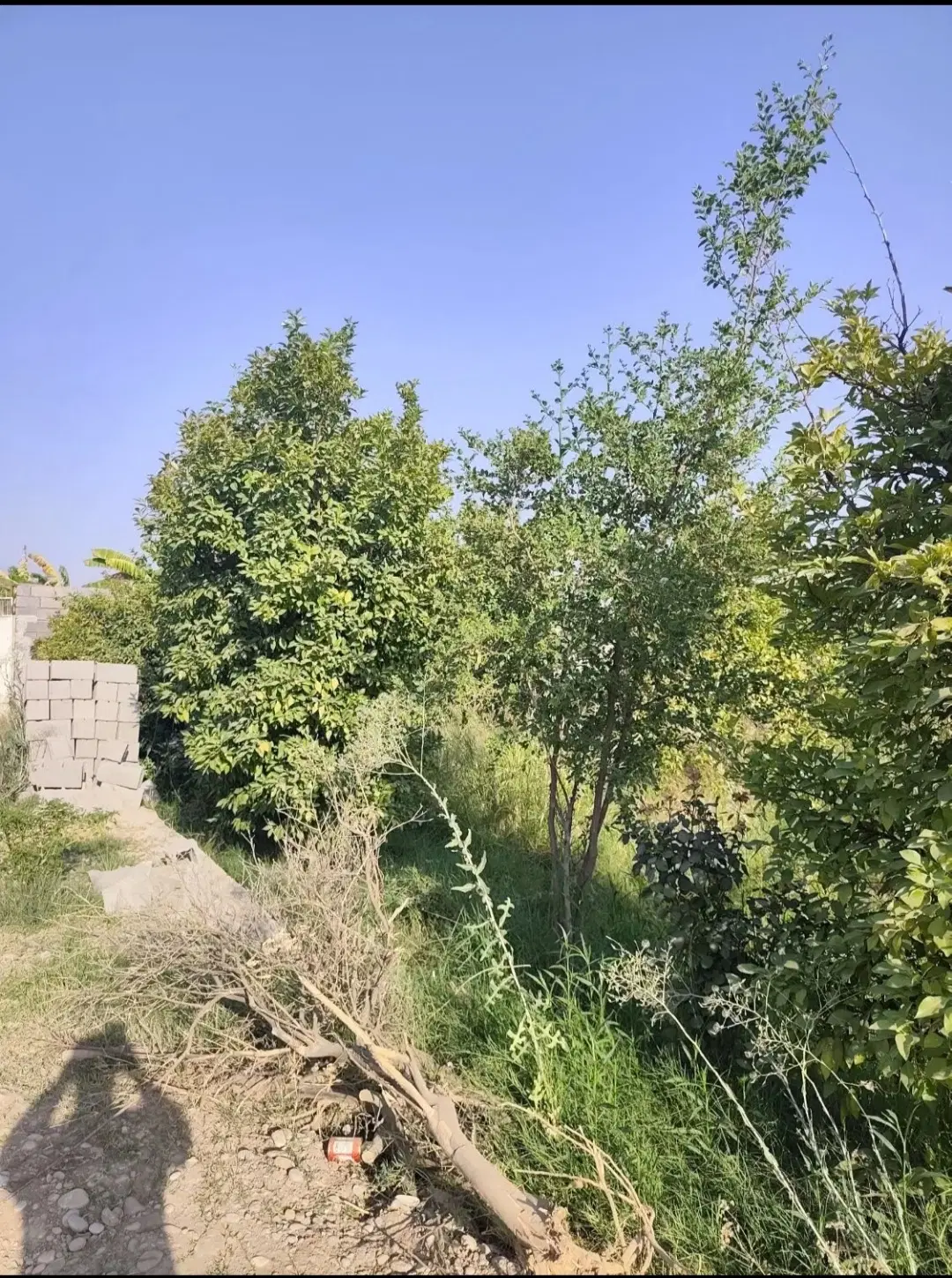 زمین مثنی 8هشت بنگله فاز 3فرهنگیان