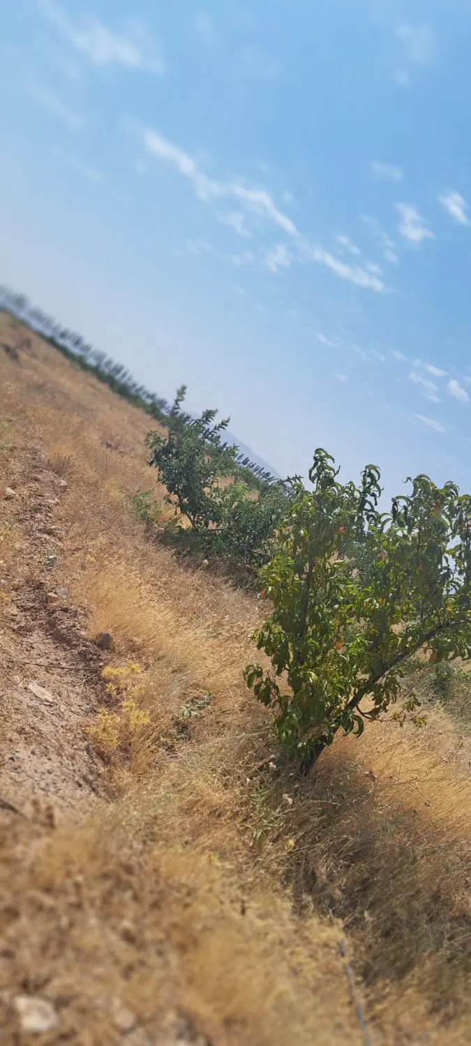 باغشهر شهریاوران کارکنان شهرداری