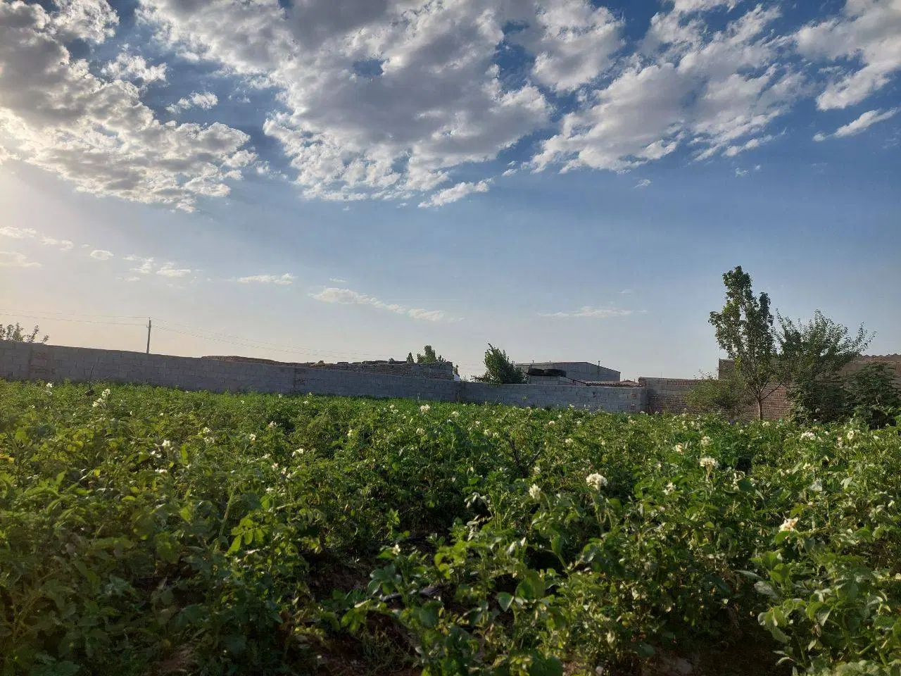 باغچه در روستای کرکرق