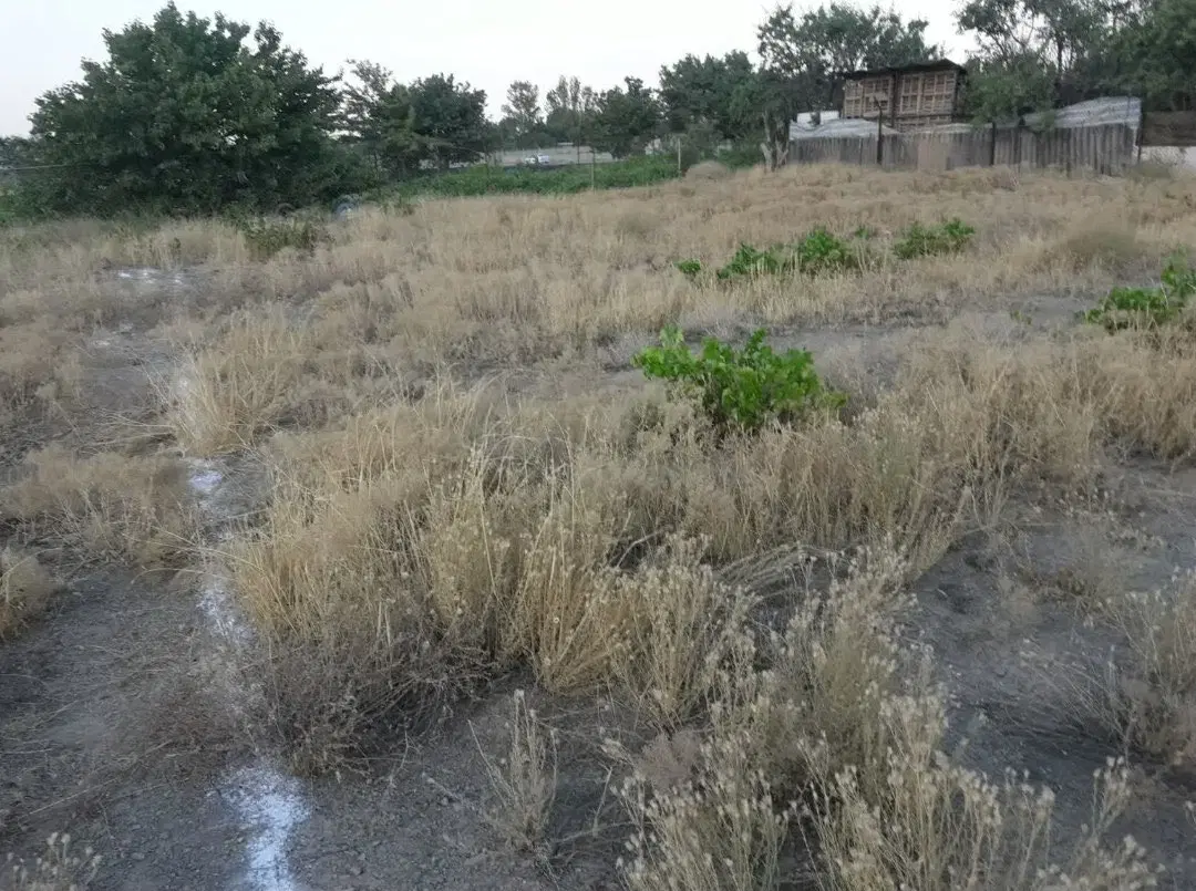 زمین مرزیجران جاده لوله گاز