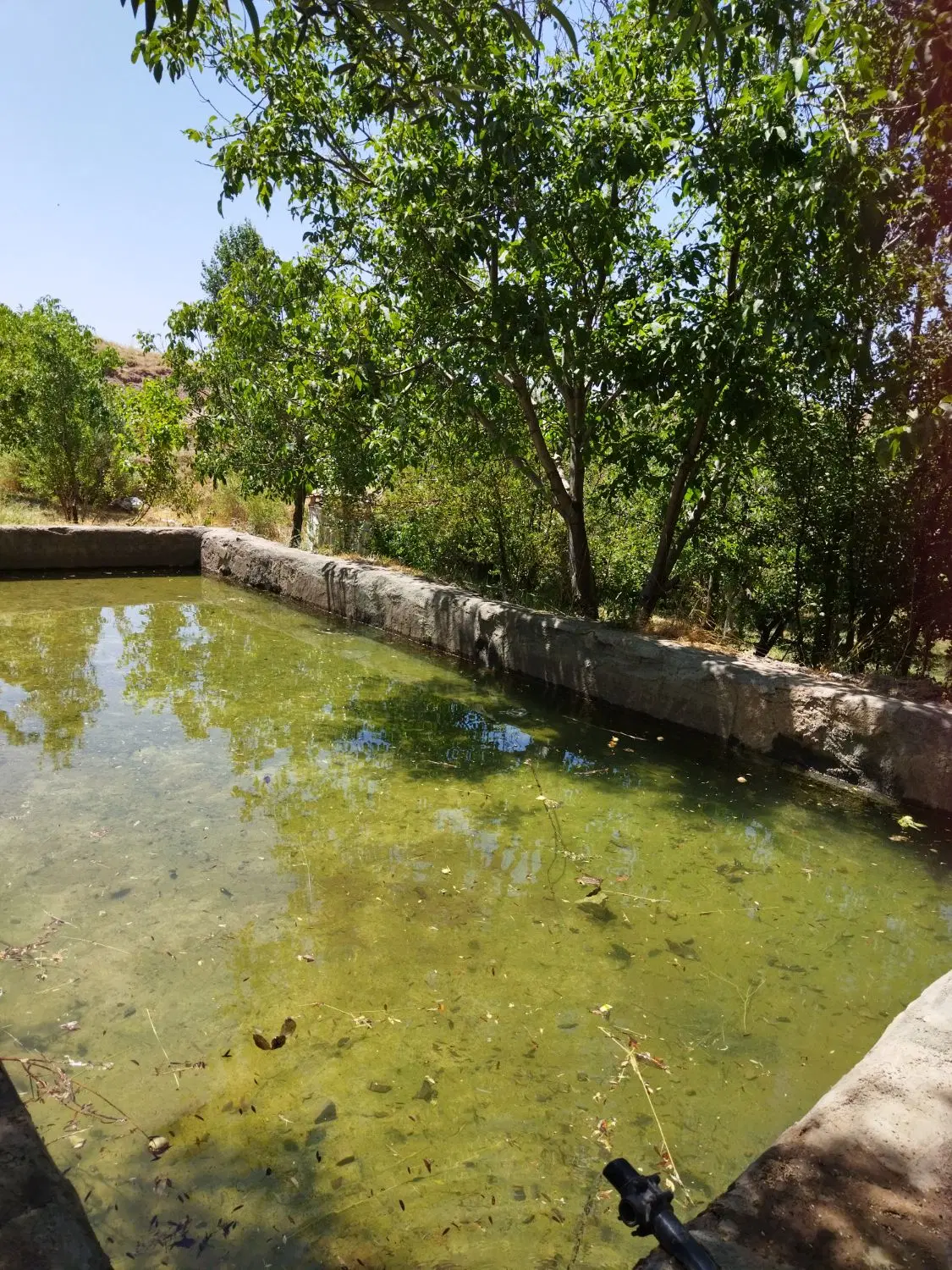 زمین  نایس شهرک معراج