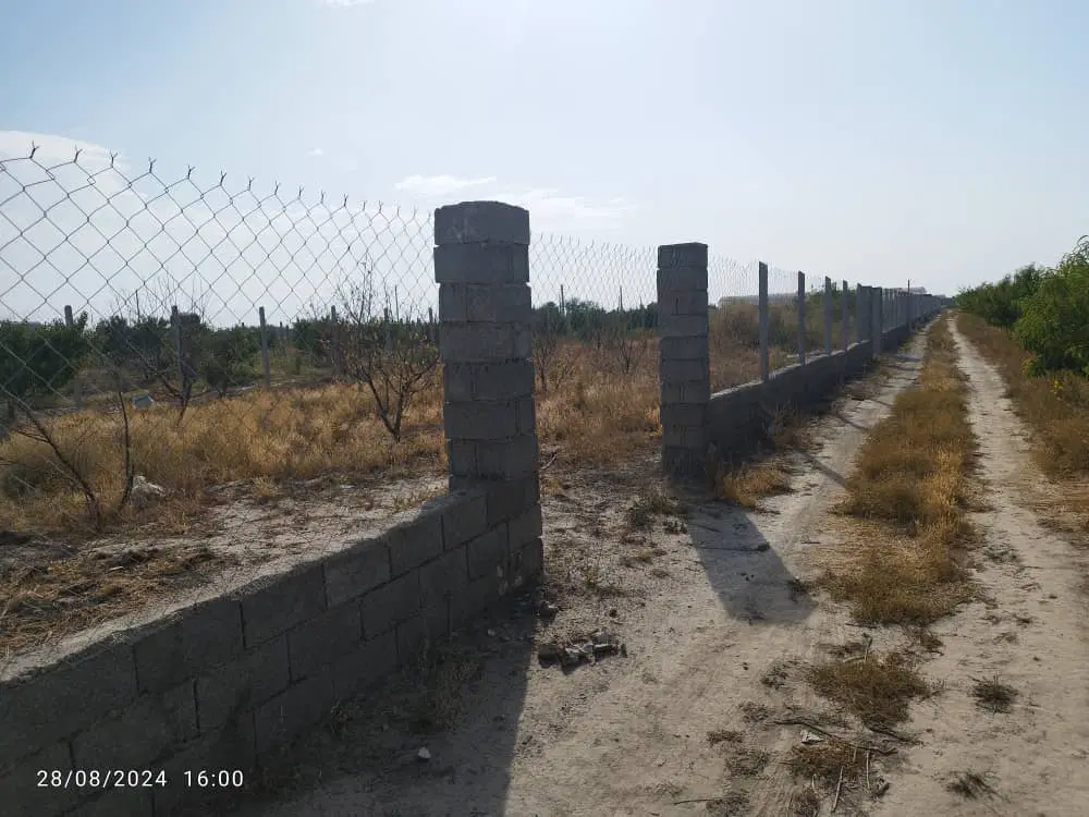 ۱۰۰۰ متر  زمین باغ  تنکمان جای خوب