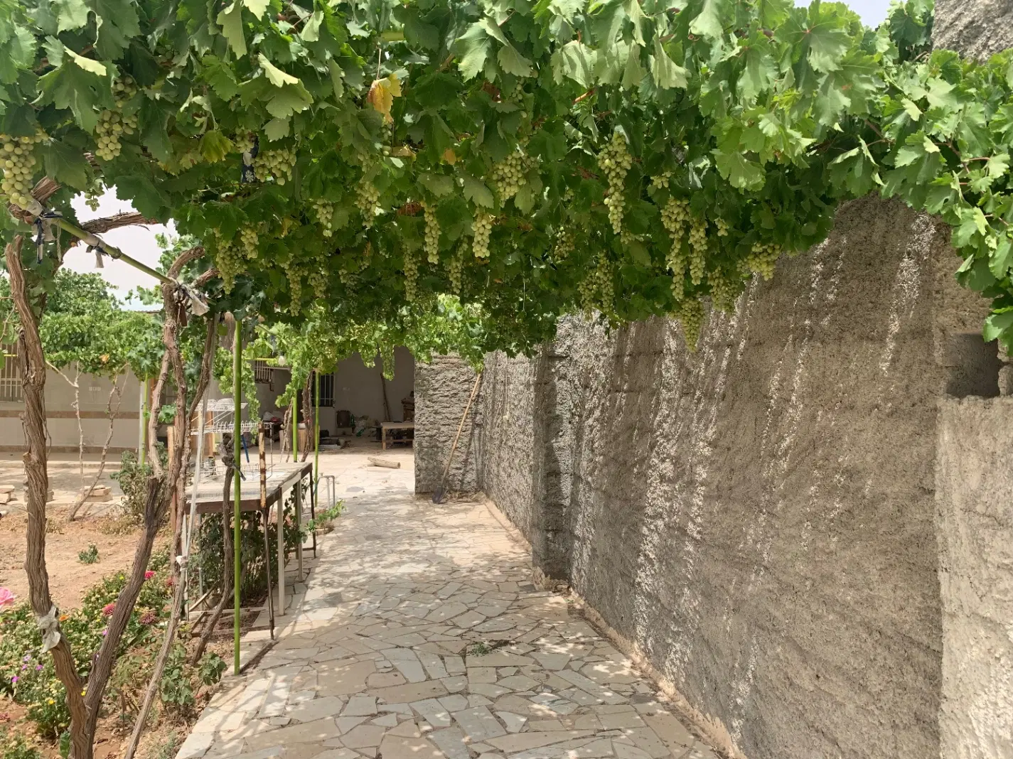 باغ فروشی