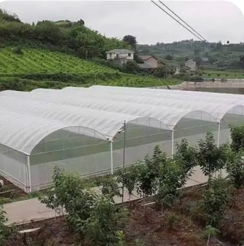 فروش زمین با مجوز گلخانه