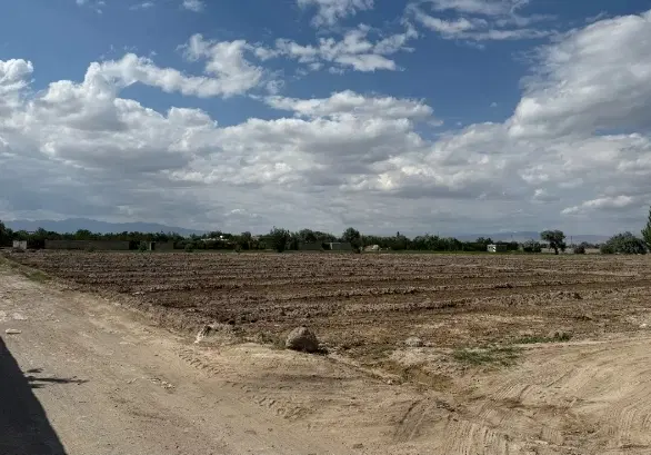 زمین به متراژ۵۰۰متر در بارانلو