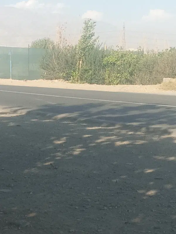 باغچه ۳۰۵ متر فیروز بهرام