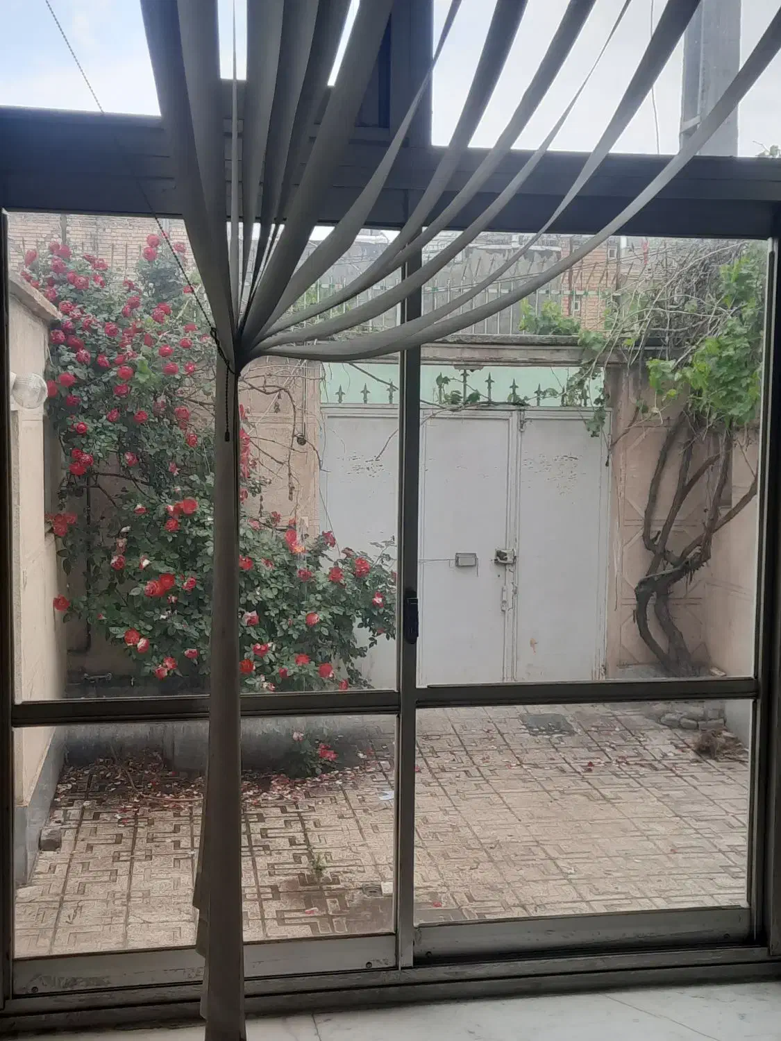 اجاره خانه دربست