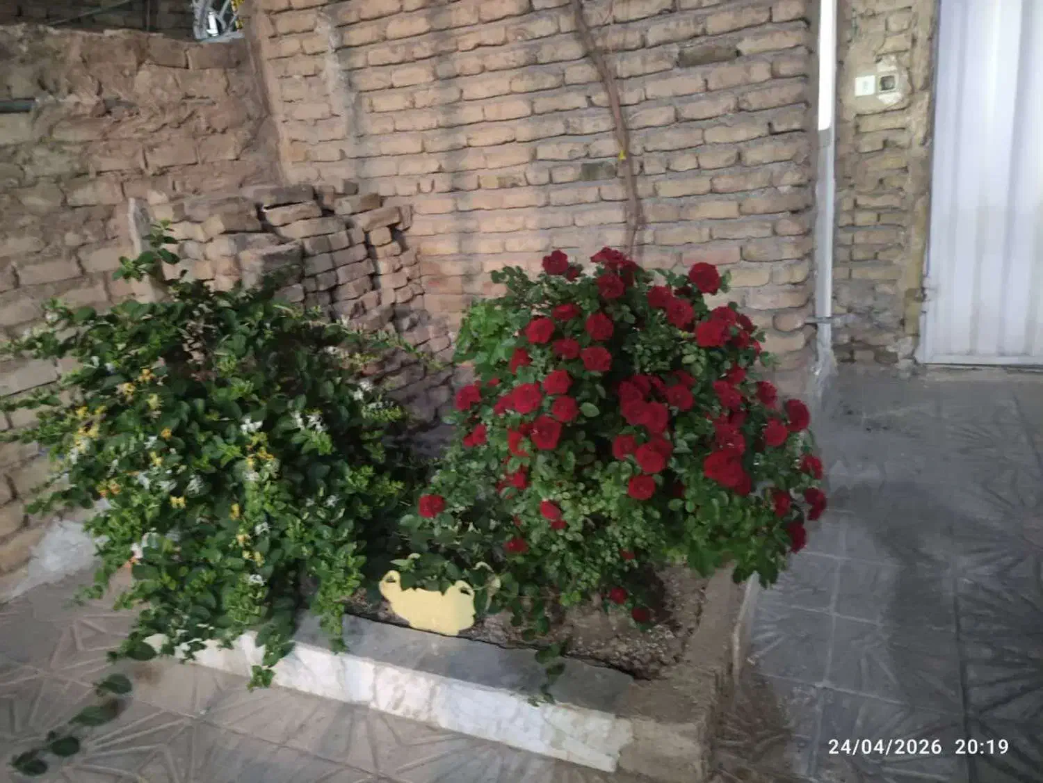 200 متری شمالی ویلایی