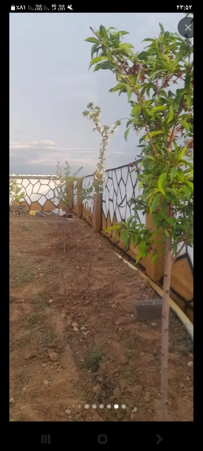 زمین باغ ویلا شاهنامه ماریان