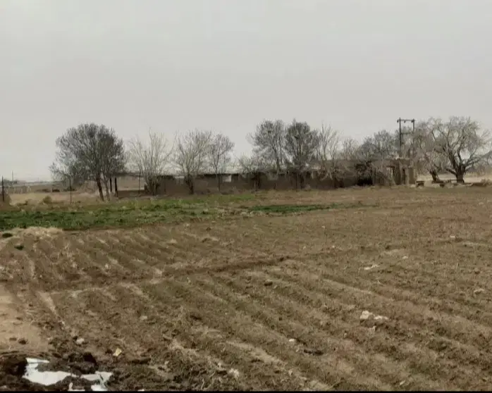 زمین کشاورزی محلات