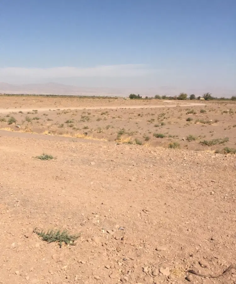 زمین گلخانه