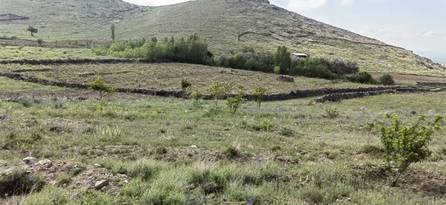 باغ وزمین زرنان