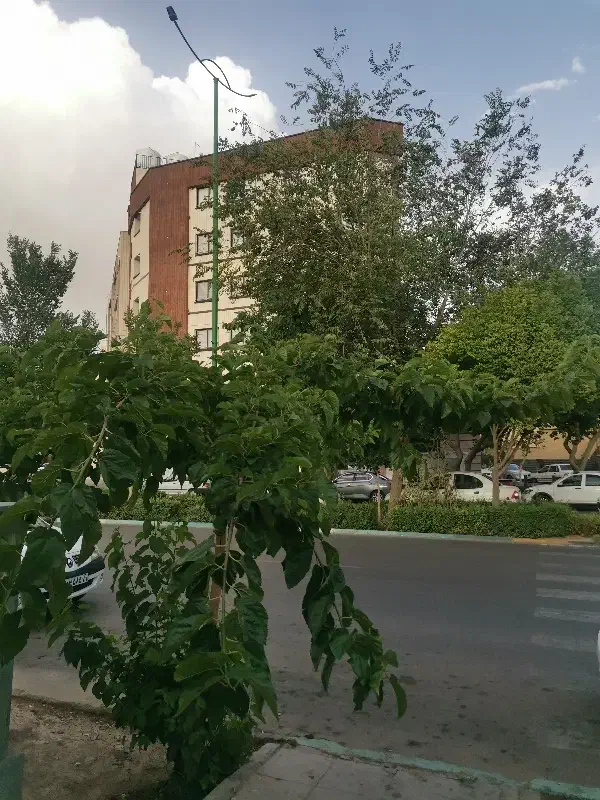 آپارتمان 135 متری 3 خوابه تک واحدی