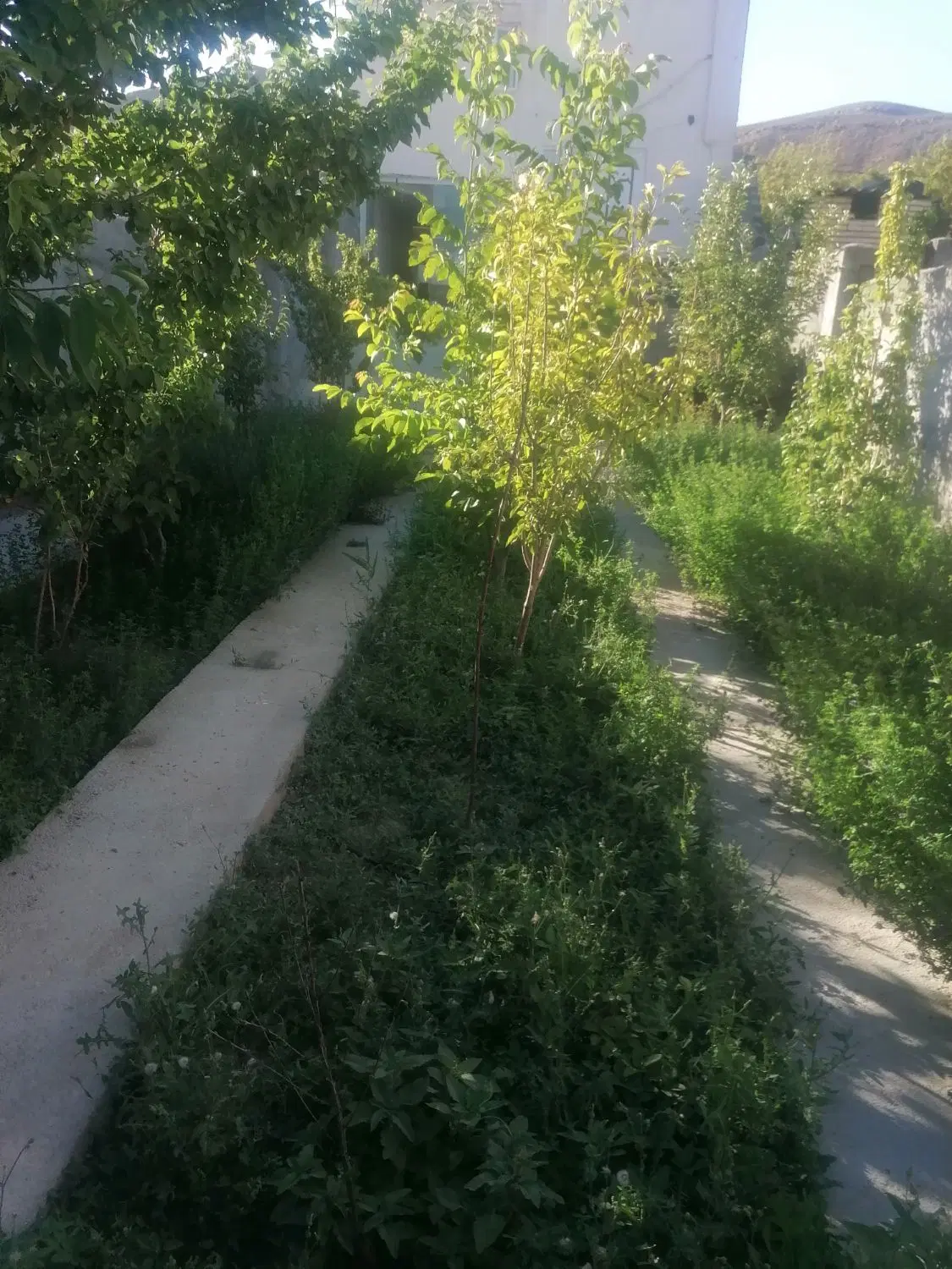 فروش منزل ویلایی