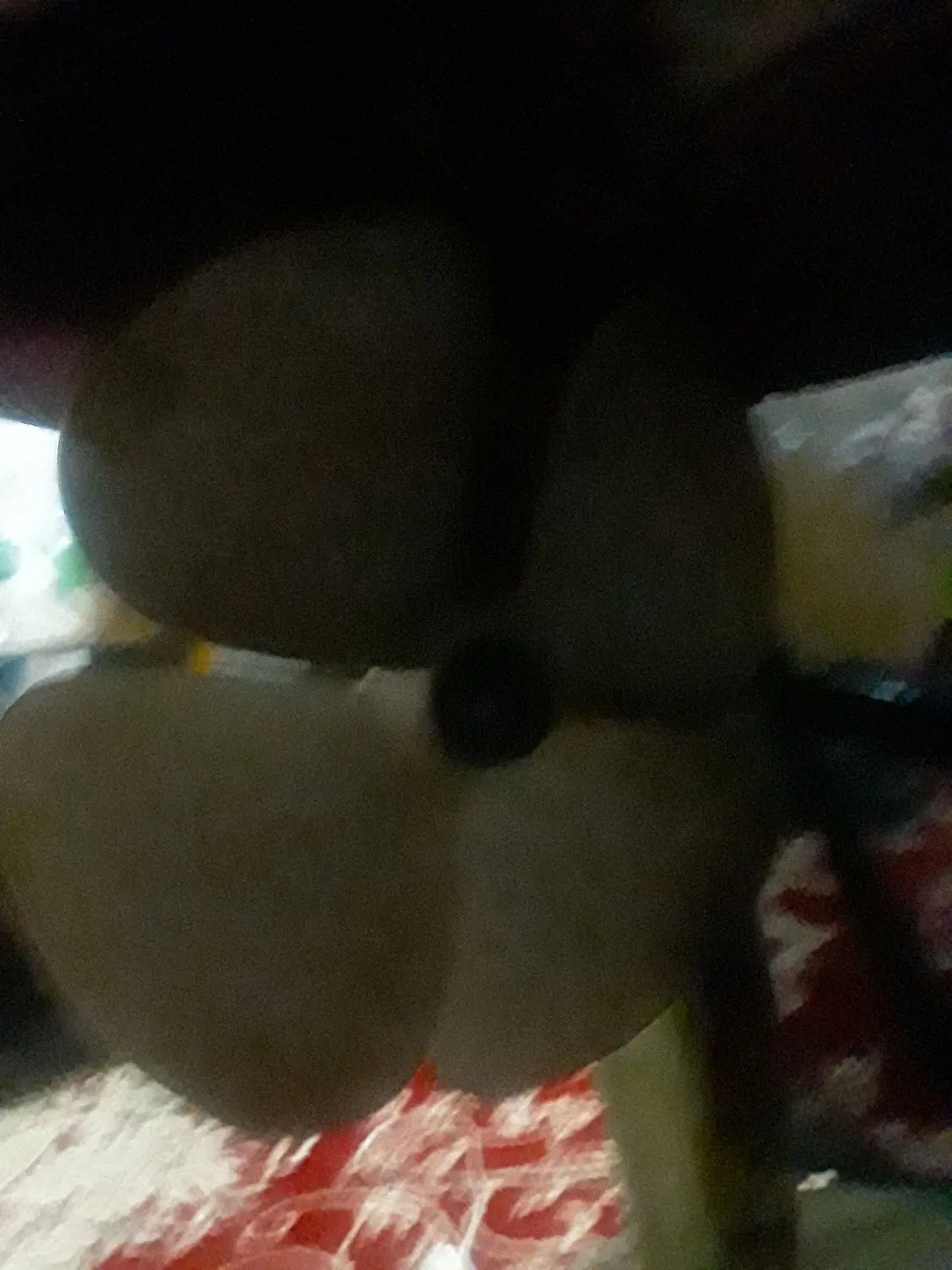 خانه چادزی