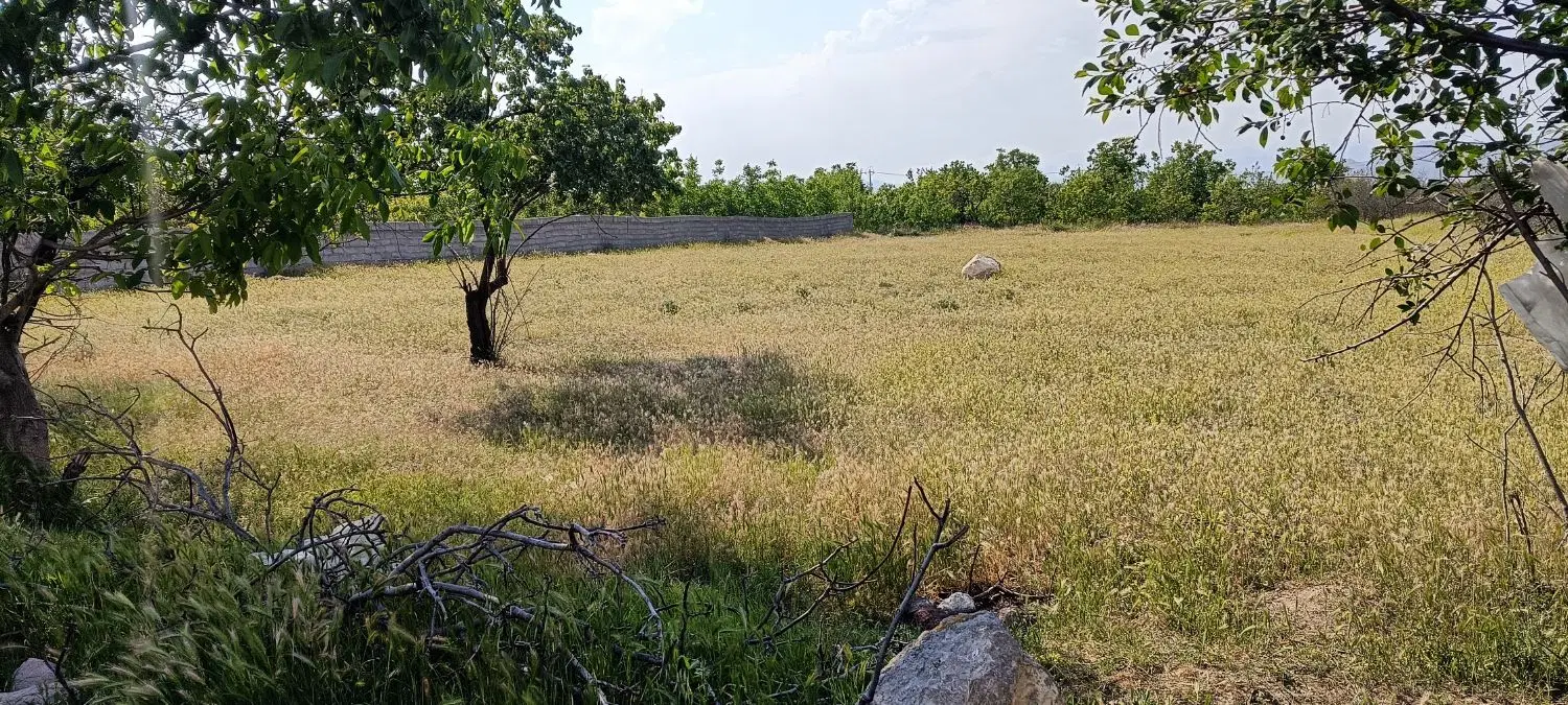 زمین کشاورزی در نصیرآباد