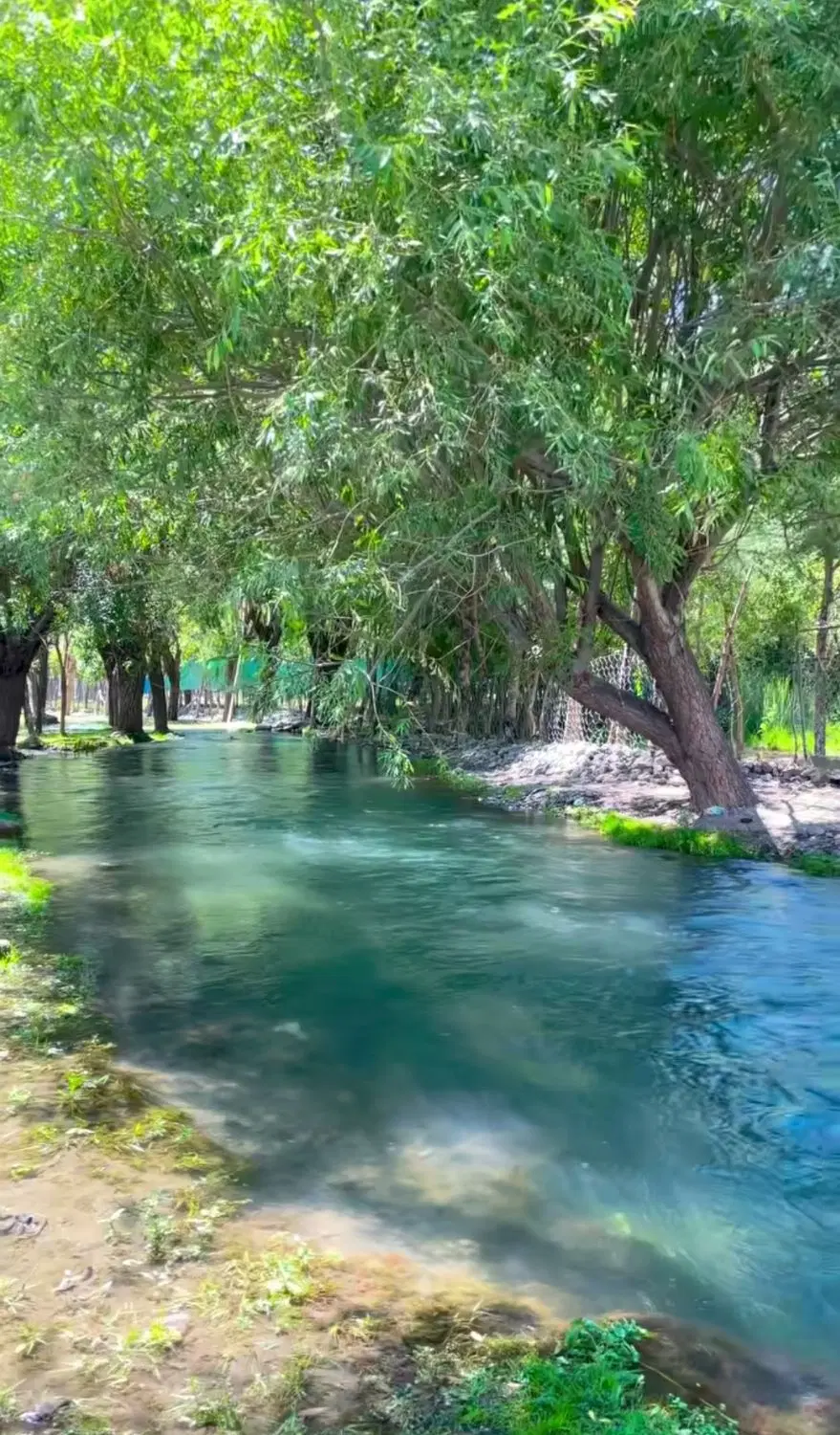 باغ سربست هماشهر سپیدان