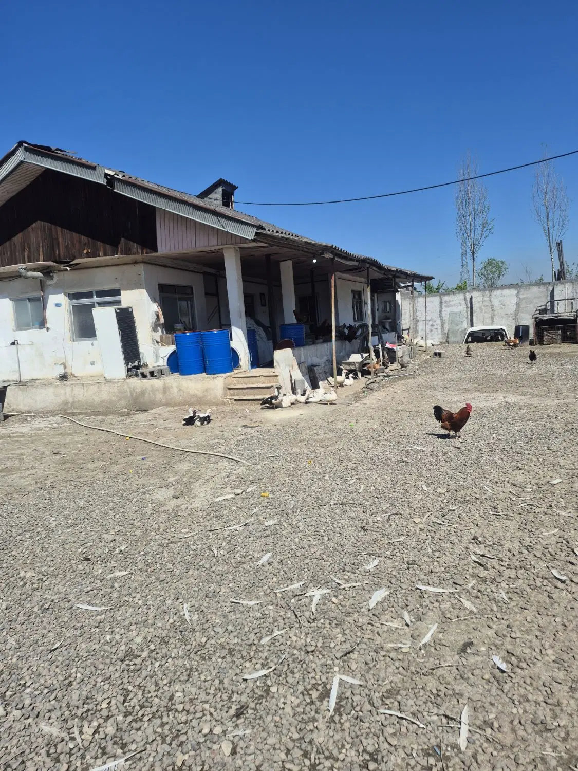 ۵۴۷ متر خونه کلنگی_خوش قیمت_آقا سیدشریف_کوچه مزار