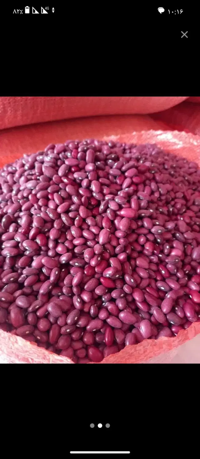 واگذاری مغازه نخود لوبیا کود عدس جو گندم کنسانتره