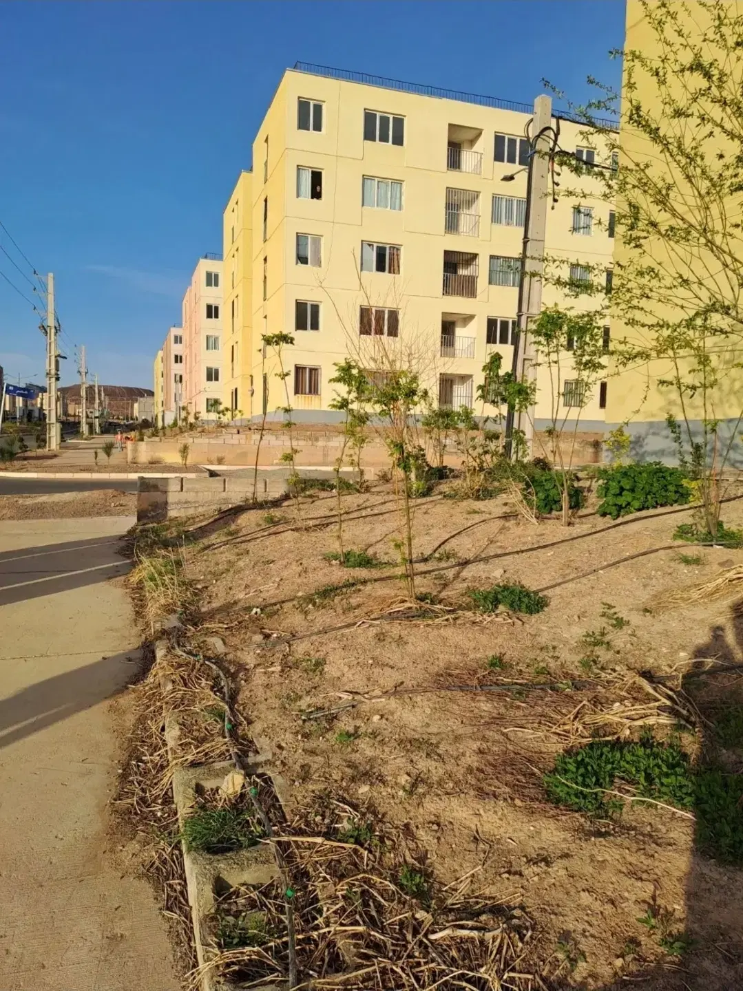 کیسون دوخواب