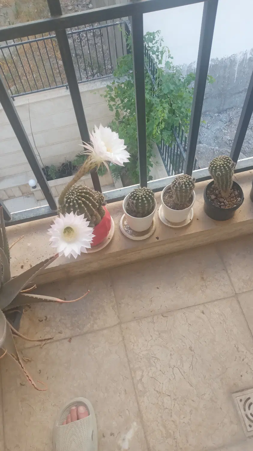 واحدمسکونی ۸۲ متری درمهرگان
