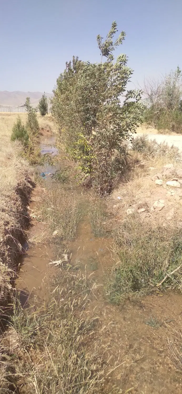 زمین‌بان‌گلشن‌اباد‌چشمه‌پهن