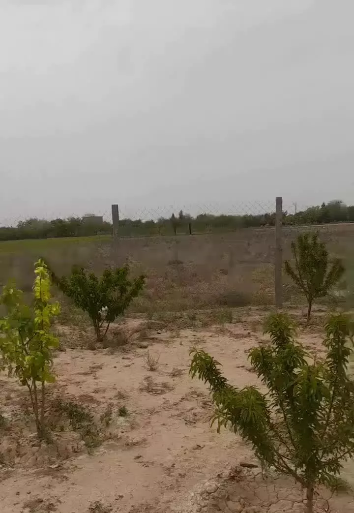 باغچه ۱۰۰۰متری در روستای صالحیه نظراباد