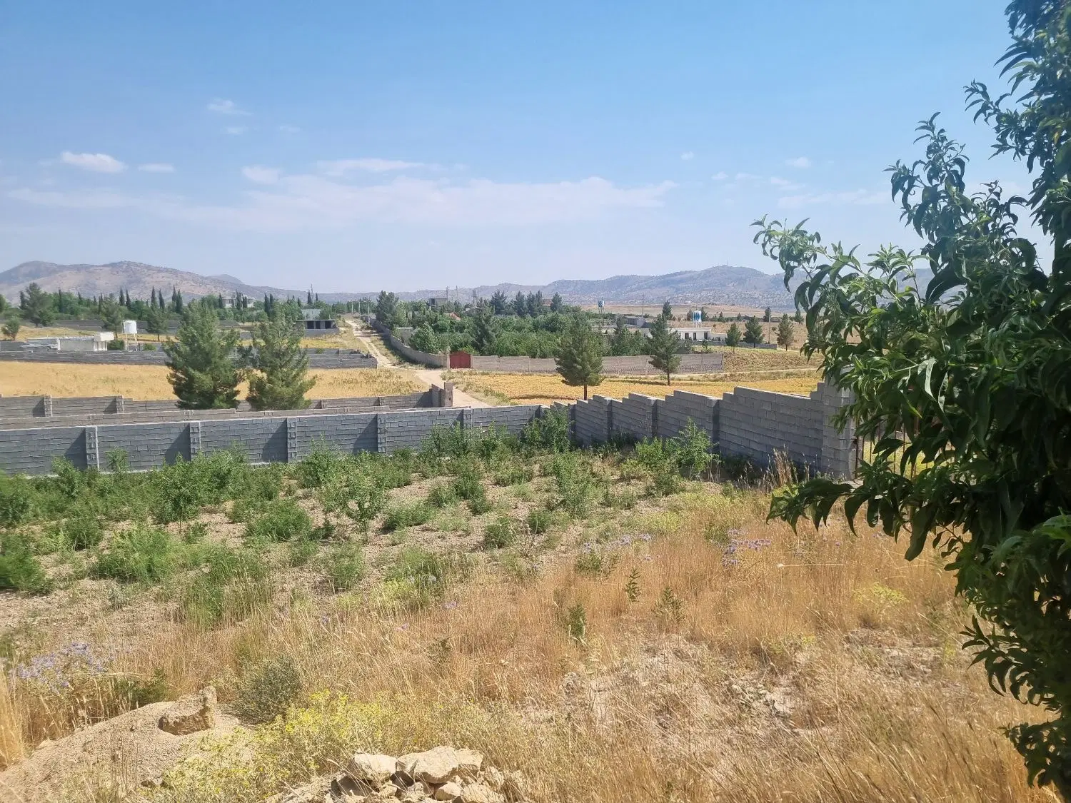 فروش باغ سپیدان