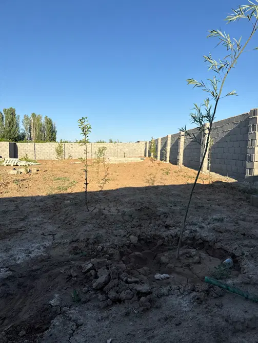 باغ جهت ویلا سازی