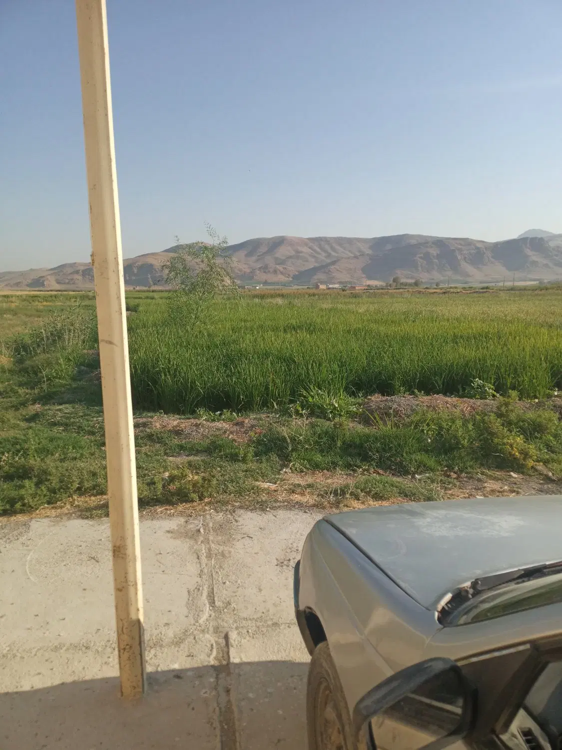 زمین دونه مولوی خیابون ۲۴متری ۱۴۰متر