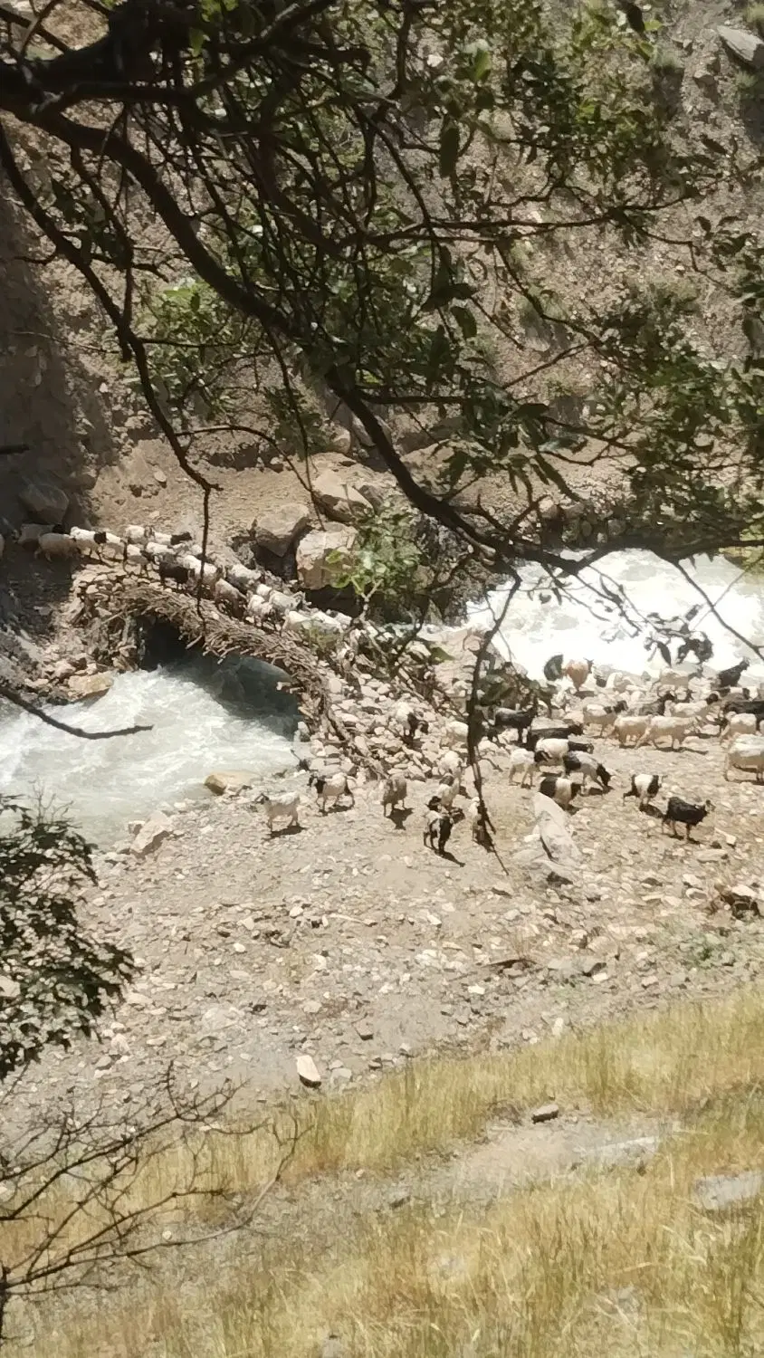 زمین