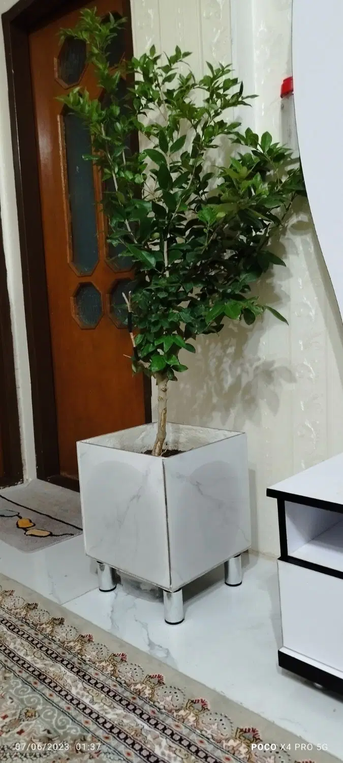 اجاره مغازه برای وکالت و مشاوره کنار دفتر قضایی
