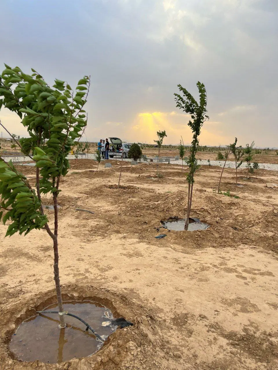 باپیش پرداخت ۲۰۰میلیونی باغ ۱۰۰۰متری بخرید