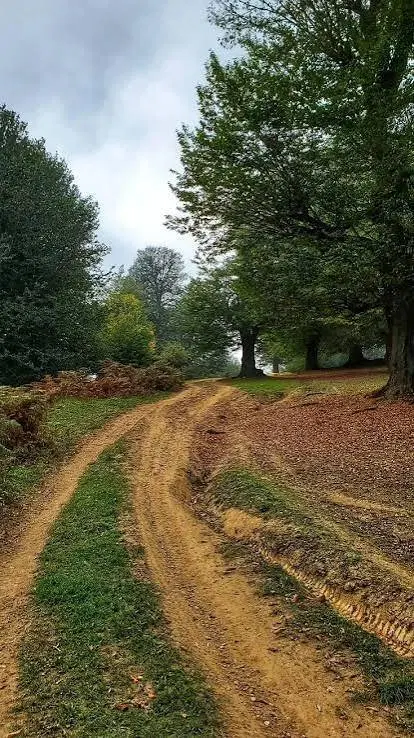 ۳۰۰ متر زمین کیلان
