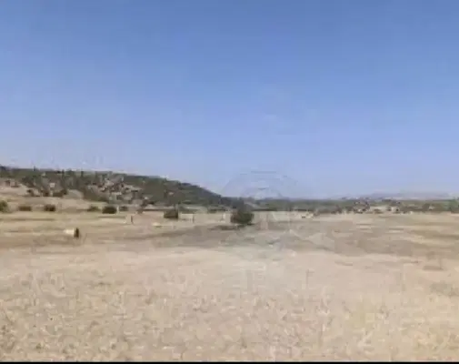 زمین مشاع صدرا گویم