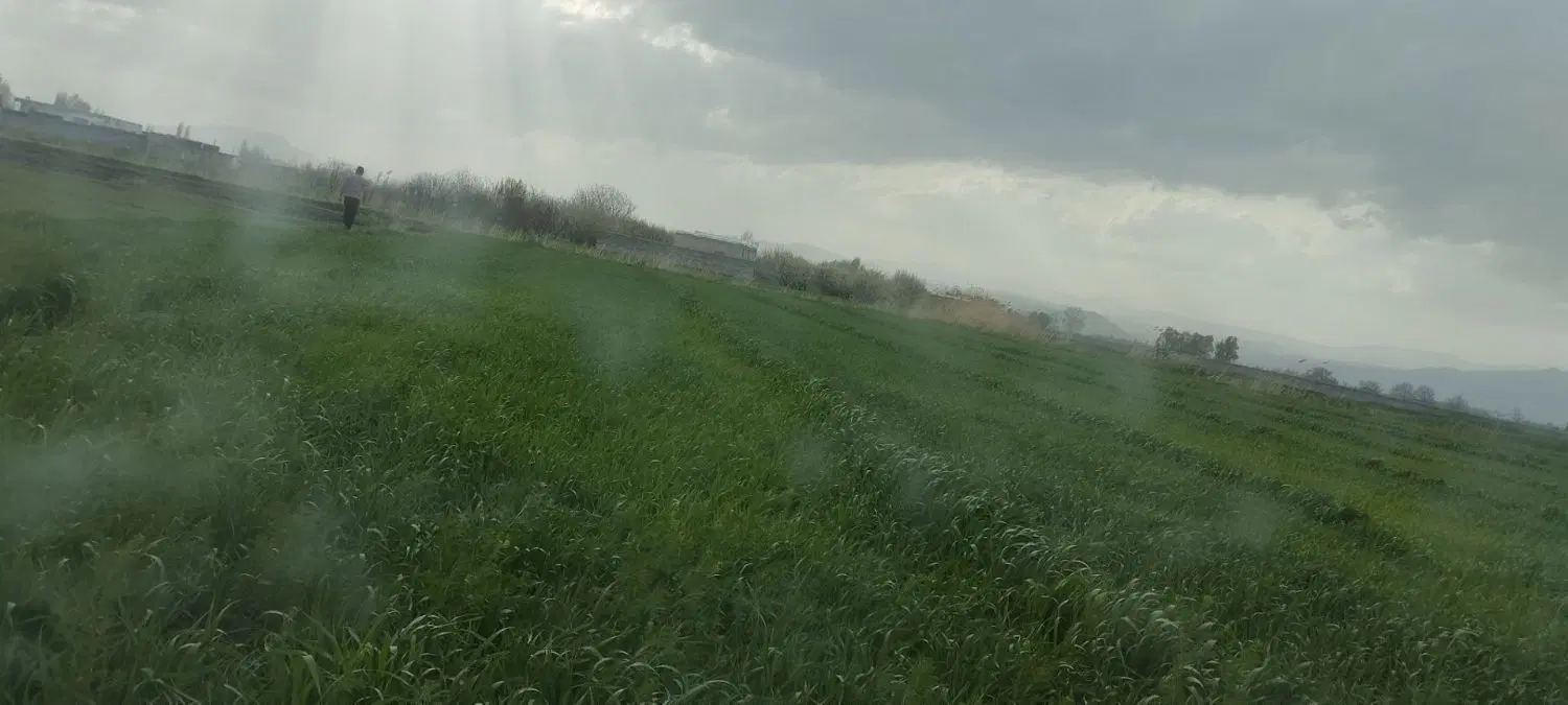 زمین کشاورزی