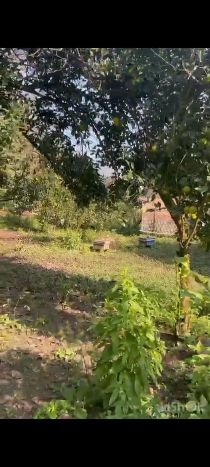 ۲۰۰مترزمین سنددار روستایی