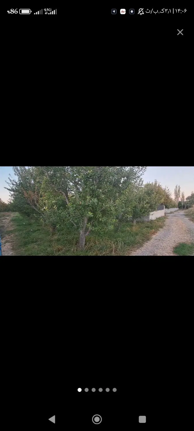 زمین کشاورزی، باغچه