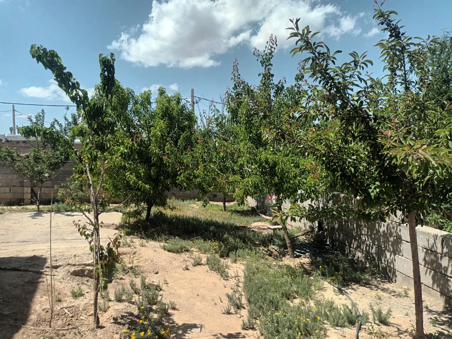 فروش خانه باغ روستایی ۱۵کیلومتری زنجان