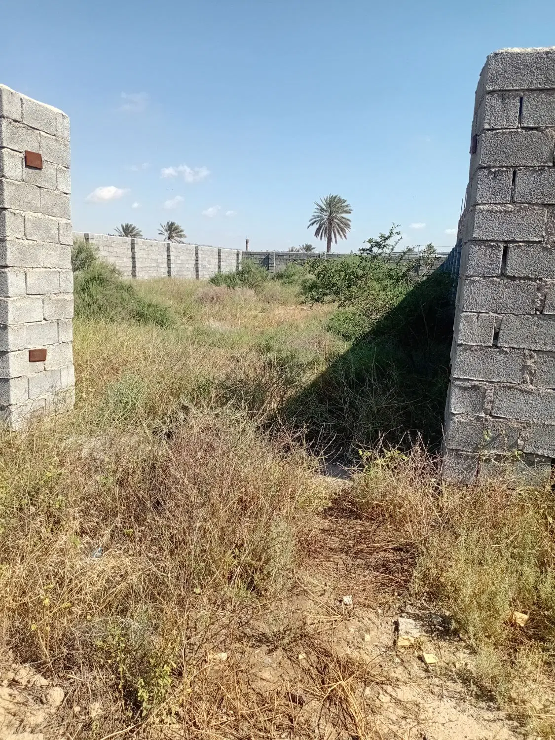 زمین فروشی در کهنوج