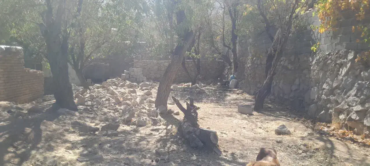فروش زمین منشاد
