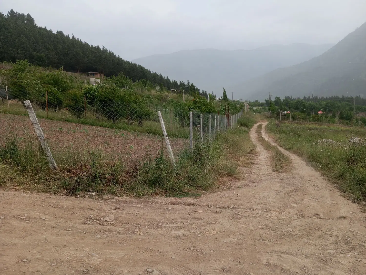 زمین باغی در روستای باقر آباد رامیان