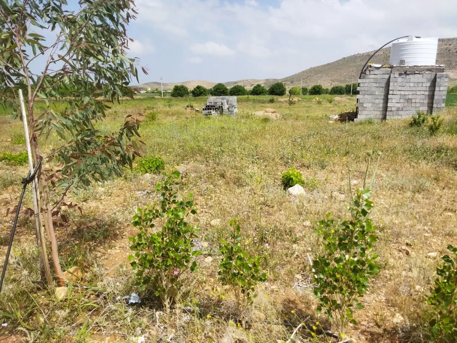 باغ،یا زمین باغی ۱۴۰۰متر بیضا حسین اباد سراب