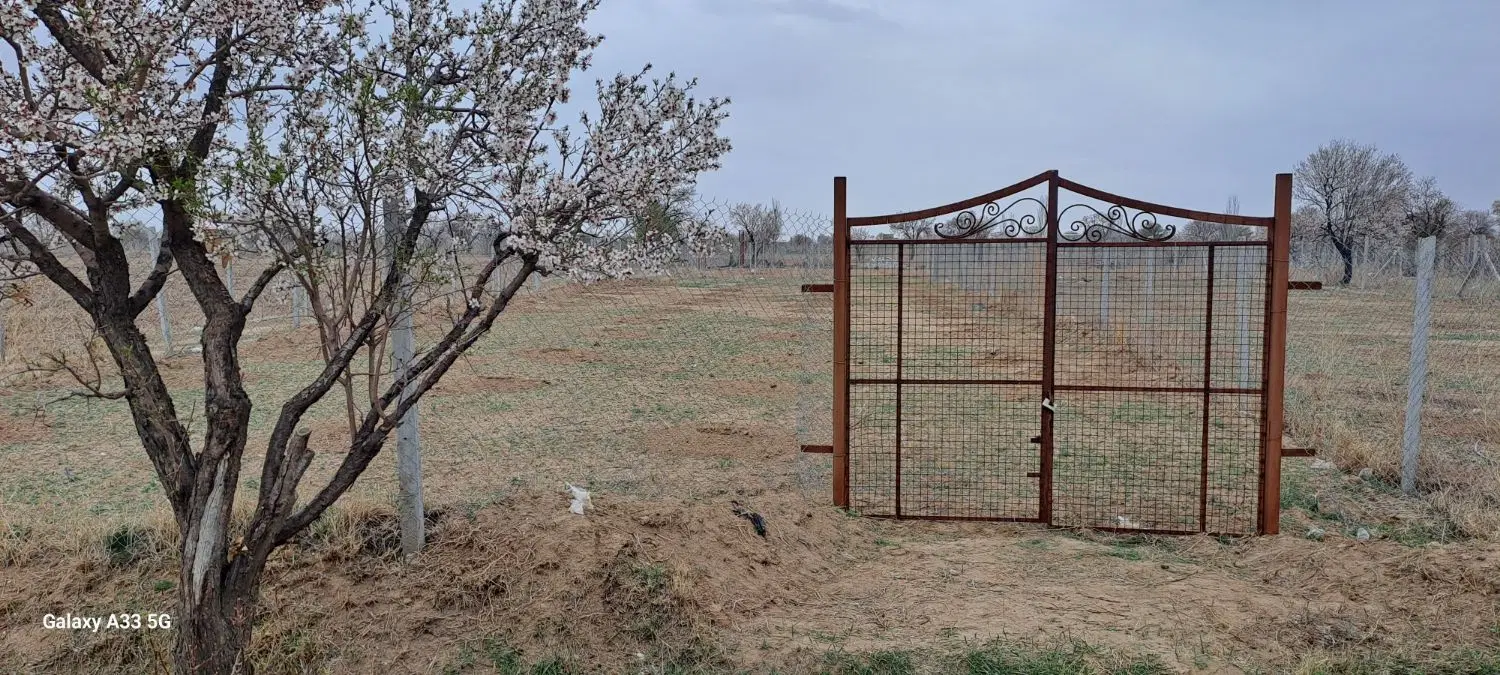 زمین باغی