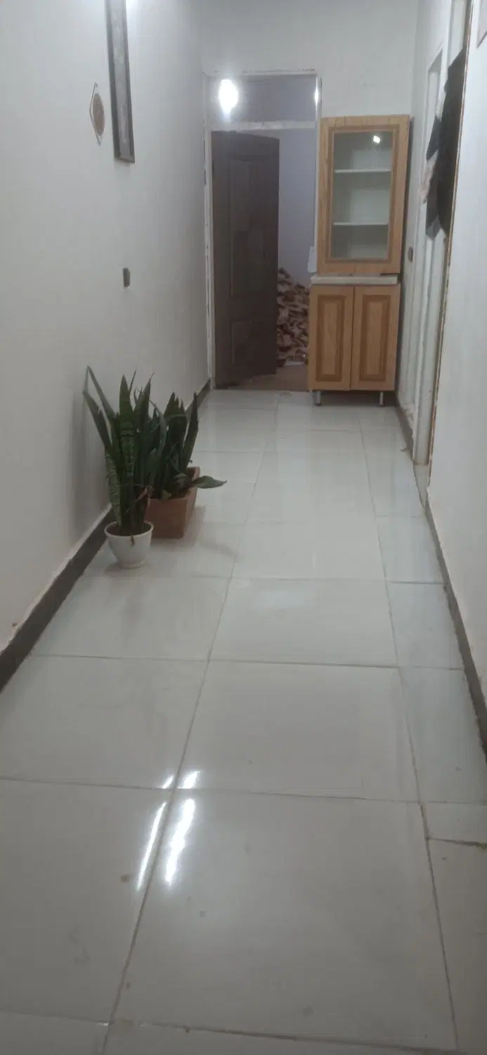 زمین ابوطالب نکاح ریوف