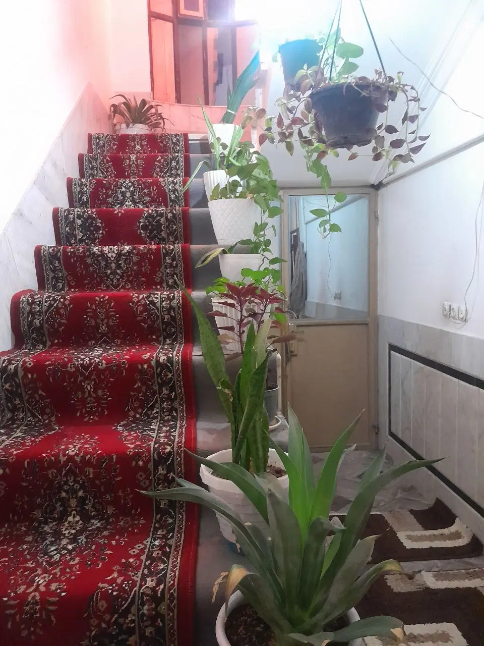 دوطبقه زیبا شهر