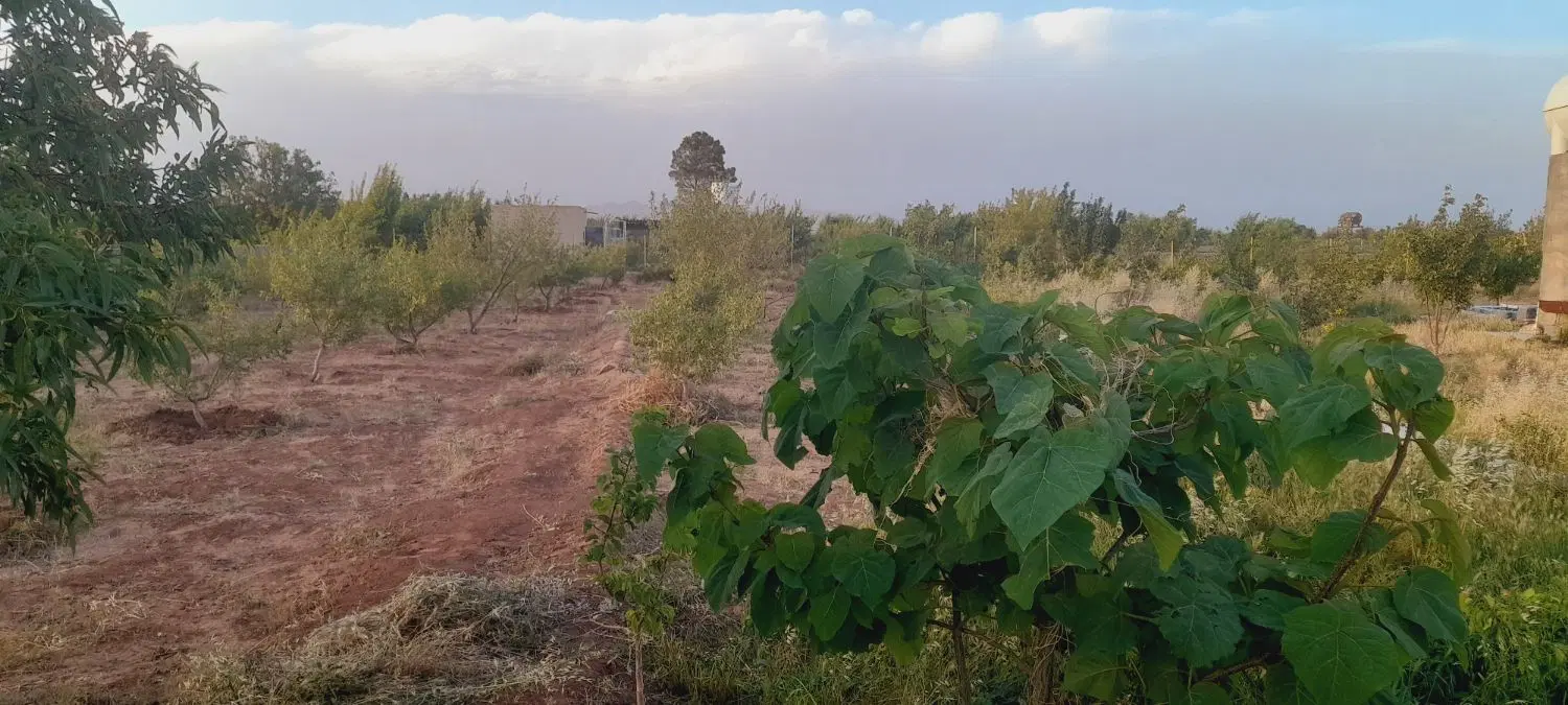 باغچه ۸۳۰ متری سنددار خوشقواره